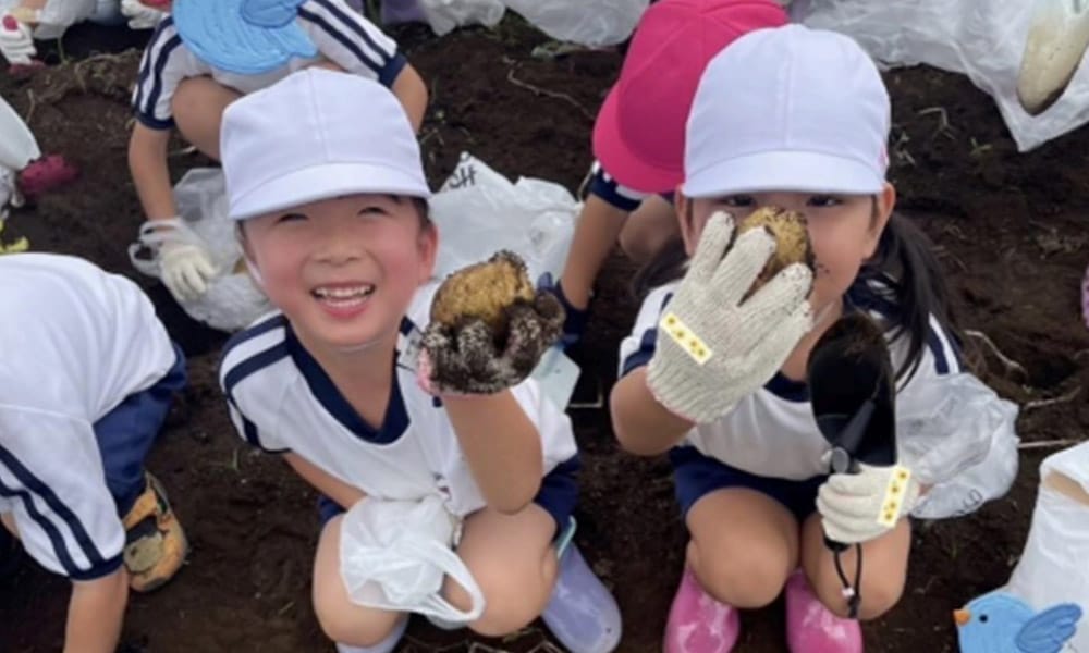 じゃがいも掘り 